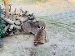-南京金牛湖风景区