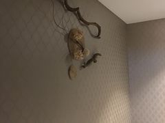 -Together·泰式按摩精油SPA(虹桥店)