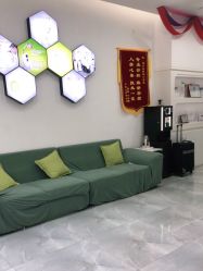 -莱可美科技美肤