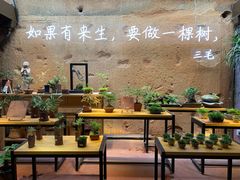 -晋江五店市传统文化旅游区