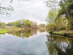 -桤木河湿地公园