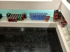 -南航明珠v2头等舱公务舱休息室