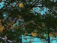 -友记功夫香·人民川菜(红牌楼店)