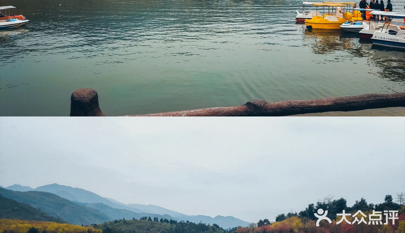 在衡阳打卡日本同款樱花海🌸