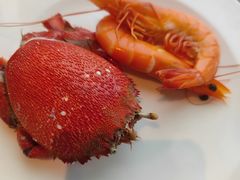 -Social 秀西餐厅-长沙瑞吉酒店(运达店)