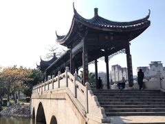 -飞来湖湿地公园