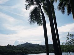 -番禺大夫山森林公园