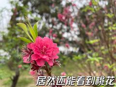 -海珠湖公园
