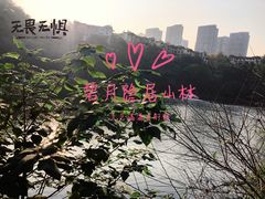 -重庆彩云湖湿地公园