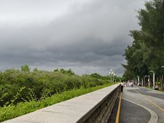 -宝安西湾红树林湿地公园