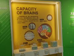 -松江科技馆