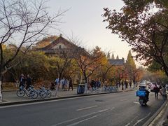 -鸡鸣赐茶(鸡鸣寺路店)