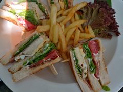 -Fern Forest Cafe