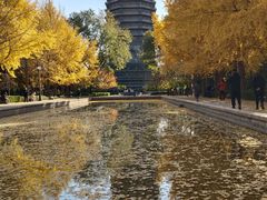 -玲珑塔公园