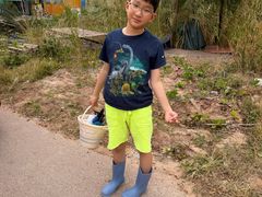 -万尾金滩