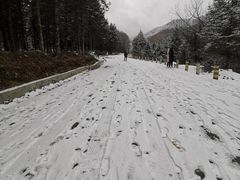 -硗碛藏寨·神木垒景区