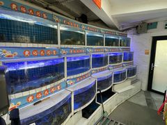 -黄记大闸蟹专卖店·活蟹·醉蟹
