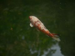 -温江公园