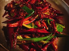 -毛辣果·酸(OHA复兴西路店)