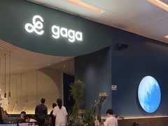 -gaga(金光华店)
