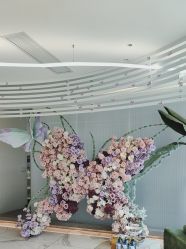 -HYOUNG 禾漾·BTL官方美学中心