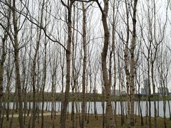 -长春市南湖公园