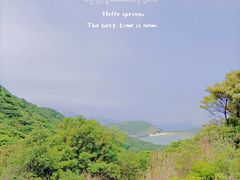 -梅沙尖