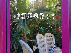 -大鹅岛绿色生态美食园
