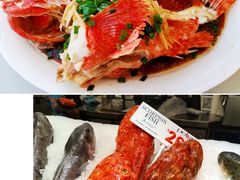 -悉尼鱼市场