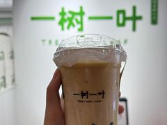 -一树一叶·福建茶档(石鼓路店)