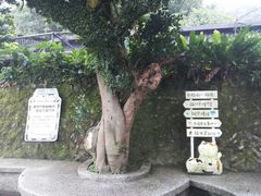 -平溪村