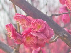 -杭州口腔医院(城西院区)