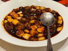 葱烧活海参-开海·红岛海鲜虾水饺(石老人店)