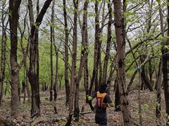 -阳台山自然风景区