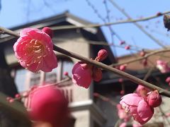 -思南公馆