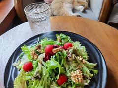 -咖法森林·咖啡  酒吧(天河店)