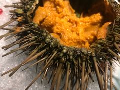 -萤初高端日料王(曲江银泰店)