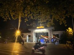 -三猫黑鱼花(南大店)