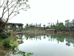 -天府芙蓉园