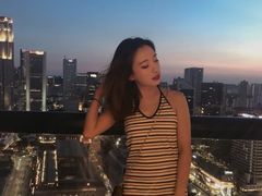 -新加坡瑞士史丹福酒店