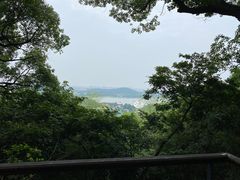 -上海佘山国家森林公园西佘山园