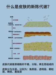 -天其美科学美肤·生发健康管理