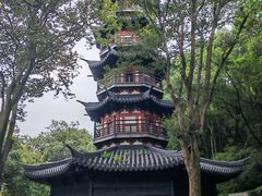 -上海佘山国家森林公园西佘山园