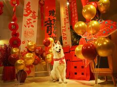 -小意思咖啡店(草桥店)
