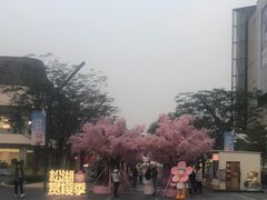 -东莞松山湖万象汇