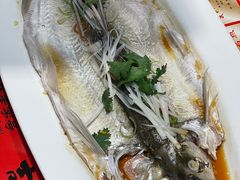 -新兴园饺子馆(河南街店)