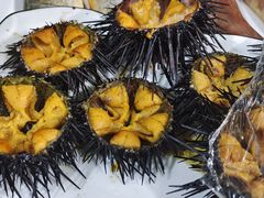 -宾朋海鲜饭庄(兴海路店)