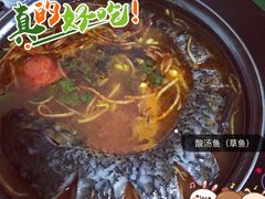 -弘烨 贵州酸汤 鱼火锅(东财店)