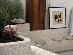-春家·非遗手工小吃(徐汇万科广场店)