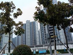 -皇粮浜湿地公园